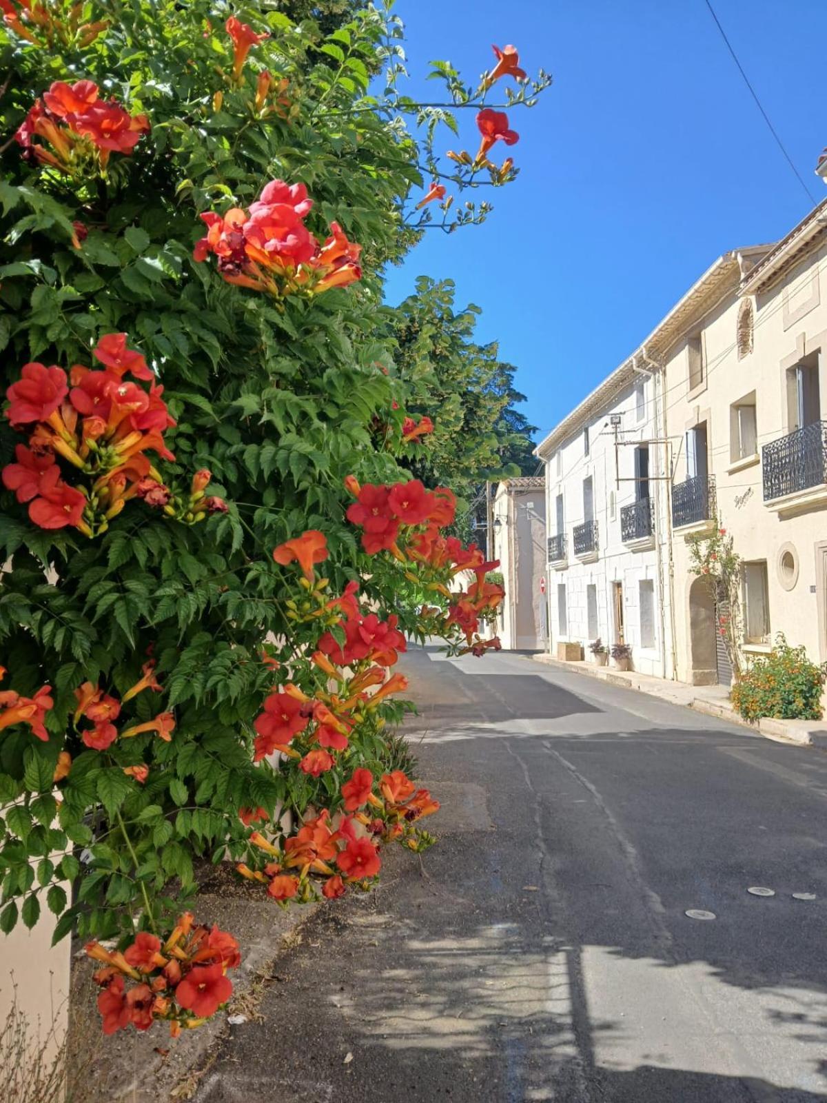 L'Oostaloo Logement De Vacances Usclas-l'Herault Exterior photo